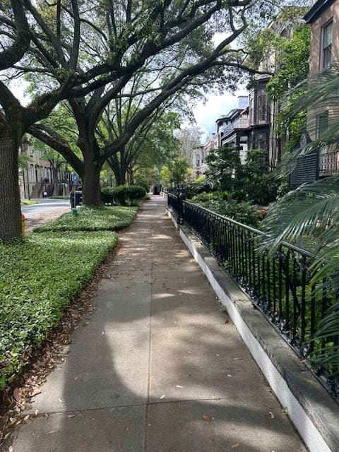 Savannah.