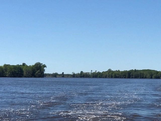Waccamaw River (~m375.5)