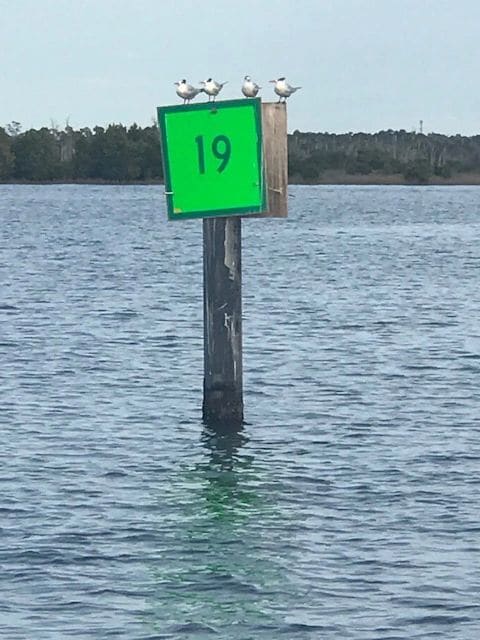 Along the way to Crystal River...