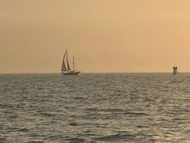 Beautifully calm Albemarle Sound crossing. Texted the boats at Alligator River: the wave are not an issue! Sailboat diverging to Coinjock route.