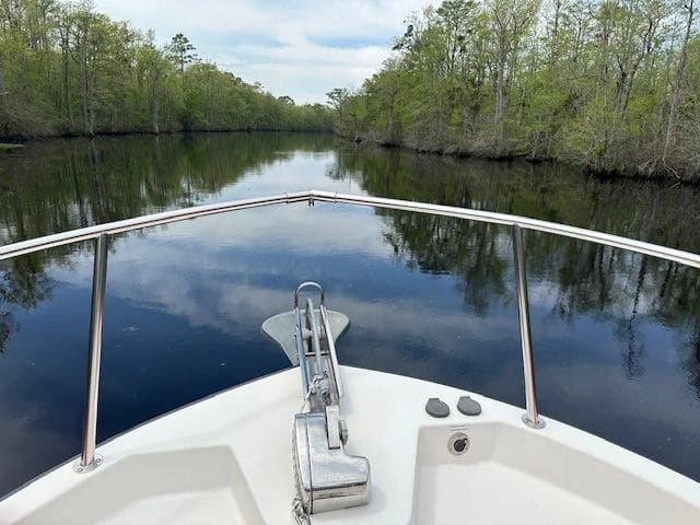 Dismal Swamp.