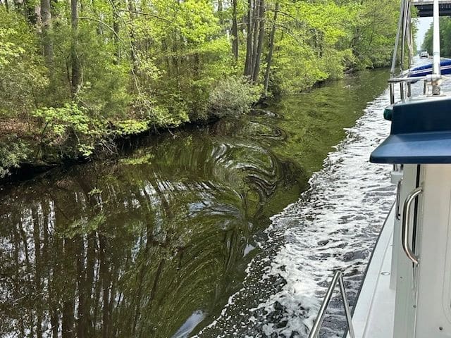 Dismal Swamp.