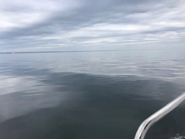 Glassy Chesapeake Bay, from Crisfield to Annapolis.
