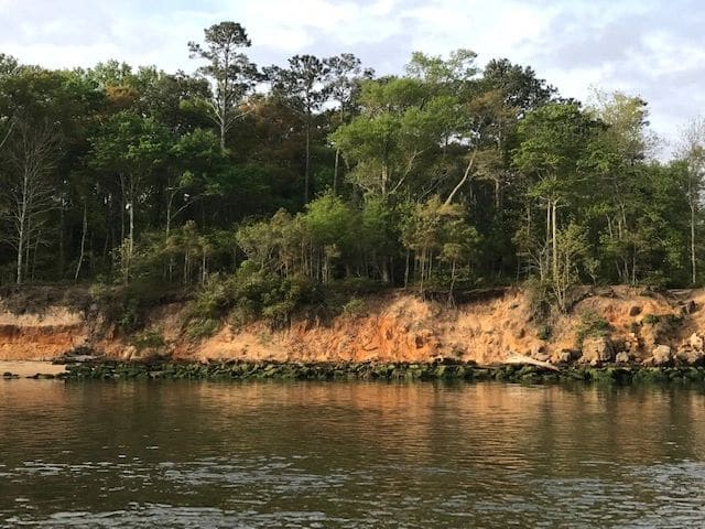 Shore line on the way to Swansboro.