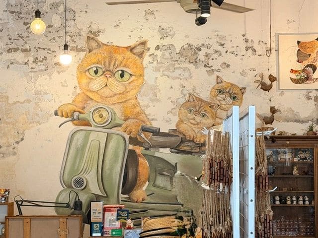 More cats!