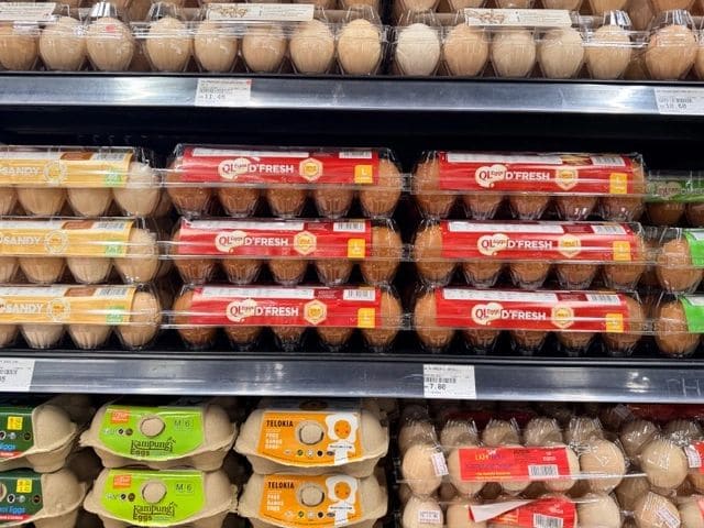 Eggs, $1.92 for O'Fresh (not sure of quantity...)