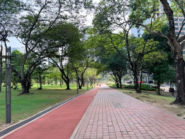 Love the running surface at the park! (Saturday the park was really crowded as you'd imagine)