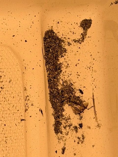 Ash from fires on boat the next morning