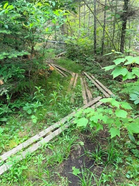 The trail...