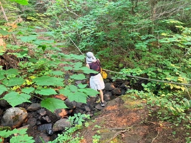 I know my hat is not fashionable, but I didn't have mosquitoes buzzing in my ears!