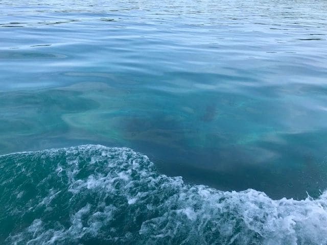 Able to see the bottom at 21' depth