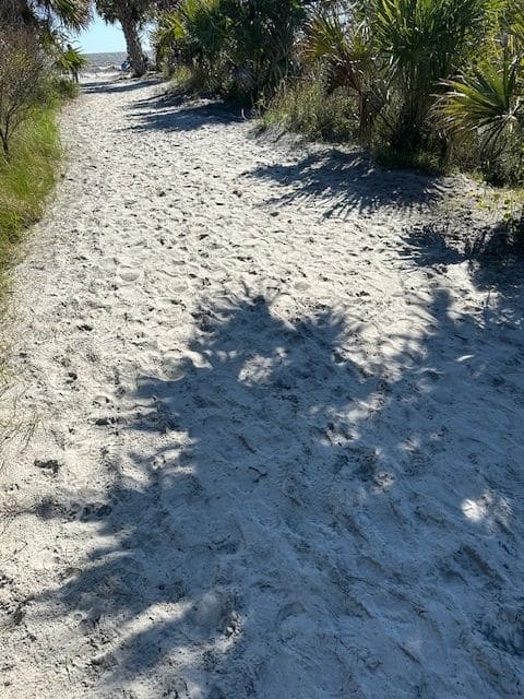To Driftwood Beach.