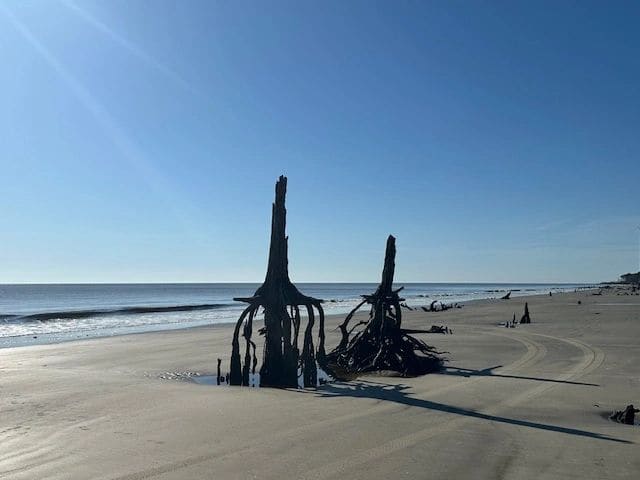 Driftwood Beach.