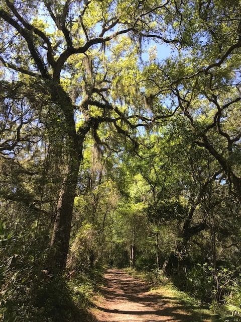 Interior trail system.