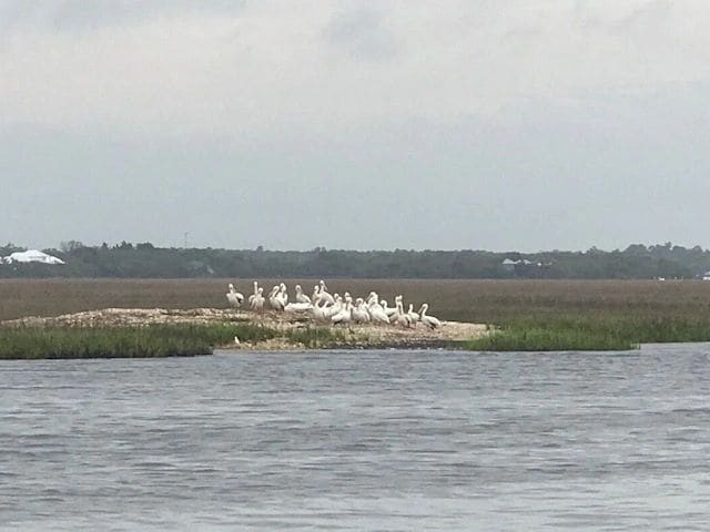 From St. Augustine  to Jekyll Island, along the way…