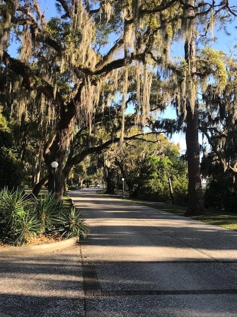 Path through historic district.