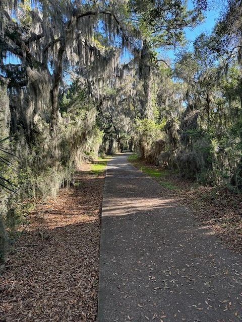 The trail continues...