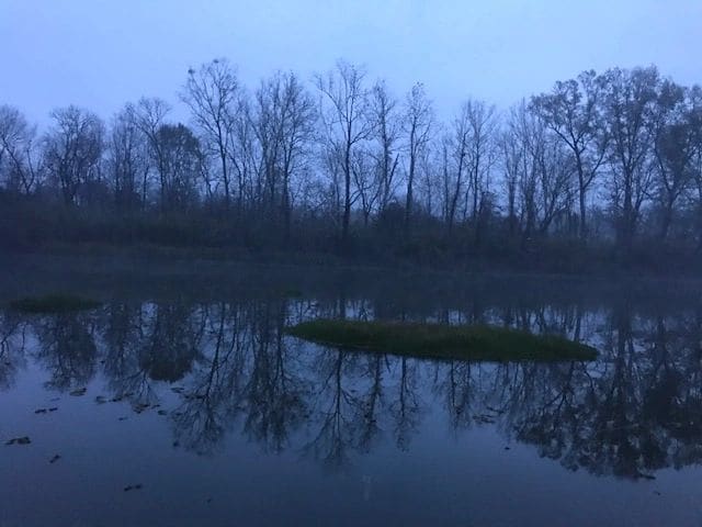 Woke up to floating islands of debris at Lower Cooks Bend anchorage