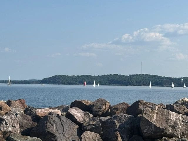 Older sailors (early evening).