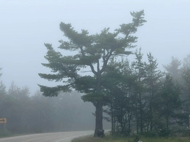 0.9-mile walk to the Great Lakes Shipwreck Museum. MOSQUITOES, DEER FLIES, BLACK FLIES, GNATS!