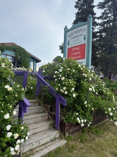 Serendipity Cafe, Rossport - delicious trout dinner!