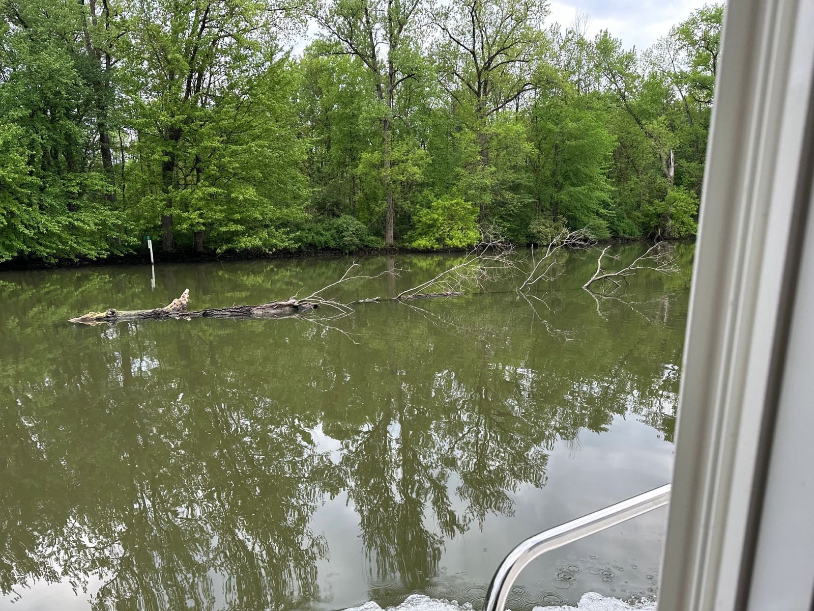 Many large logs in the canal