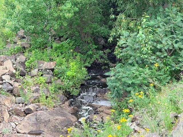 Pretty river next to road (walking to Walmart to provision).