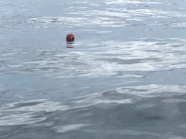 On the look out for crab pots